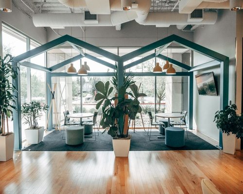 Detail of a modern office space with plants